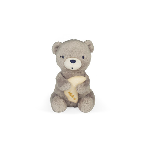 musical teddy bear