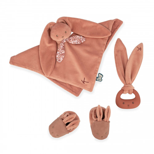 COFFRET NAISSANCE CHAUSSON ET DOUDOU FILLE