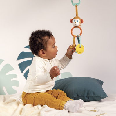Rattles & Bracelets